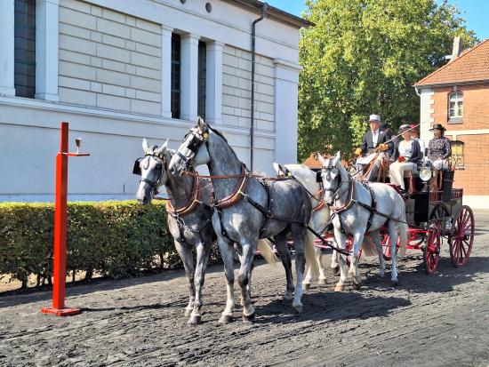 Präsentation vor dem Schloss, Fotos: Sonja Scharf